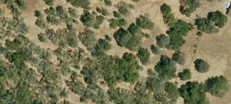 RE-5 Land Parcel