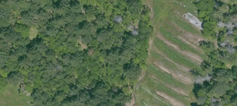 Agricultural Land with Pond