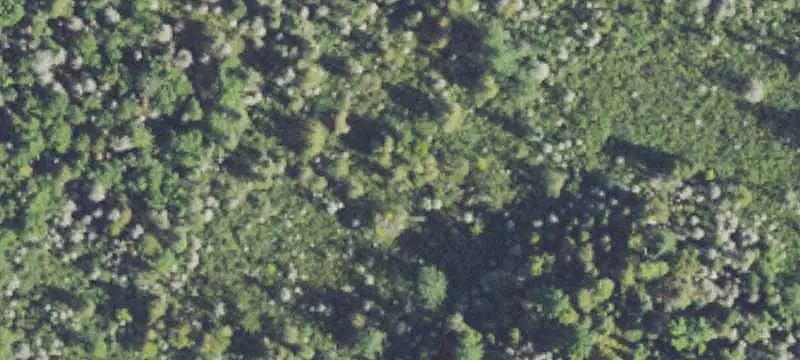 Unimproved Land