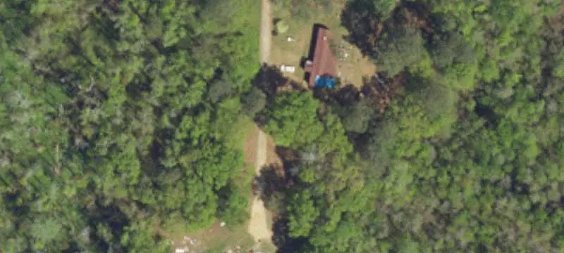 Mixed Cropland and Timber Farm
