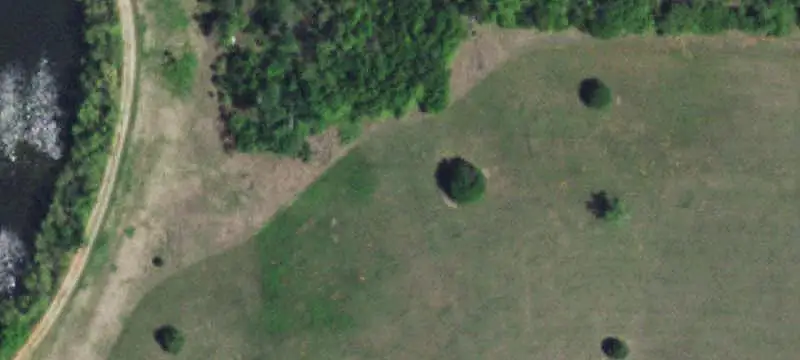 Hunting Land with Mature Timber
