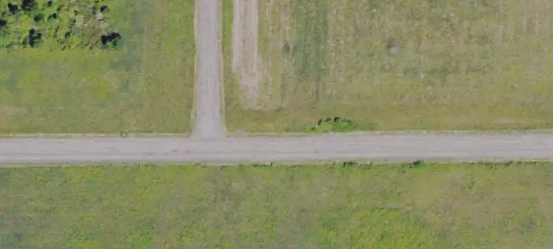 Licensed Hemp Farm