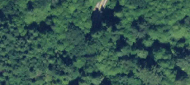 Timber Farm with Riparian Area