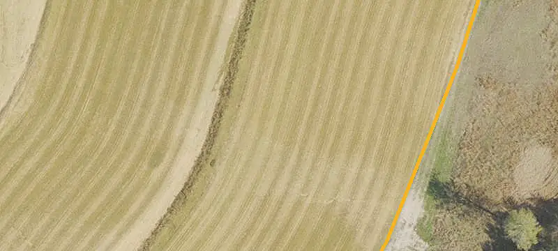 Agricultural Land with Timberland Setting