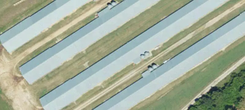 Farm with Spring-Fed Pond