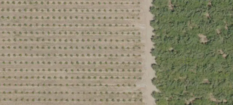 Leveled Agricultural Land
