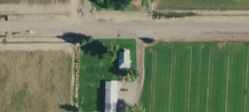 Operating Sod Farm and Custom Home