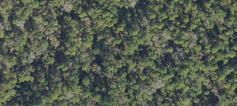 Aviation Property with Airstrip