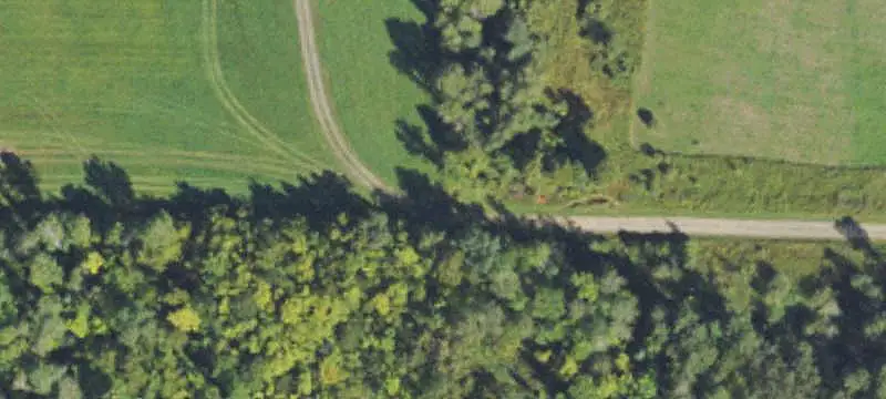 Land