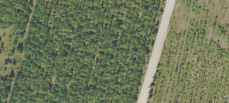 Unimproved Land