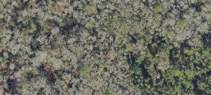 Commercial Land with State Road Frontage
