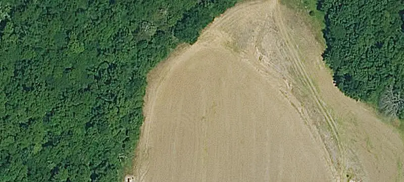 Hunting Land with Hardwood Timber