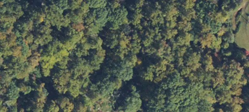 Land/Lot