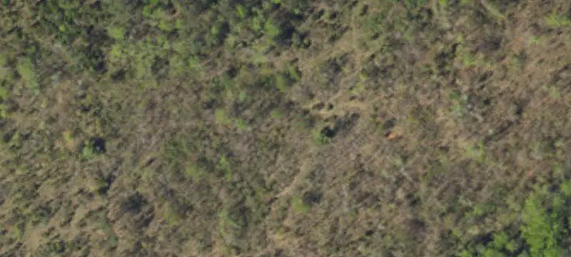 Agricultural Land