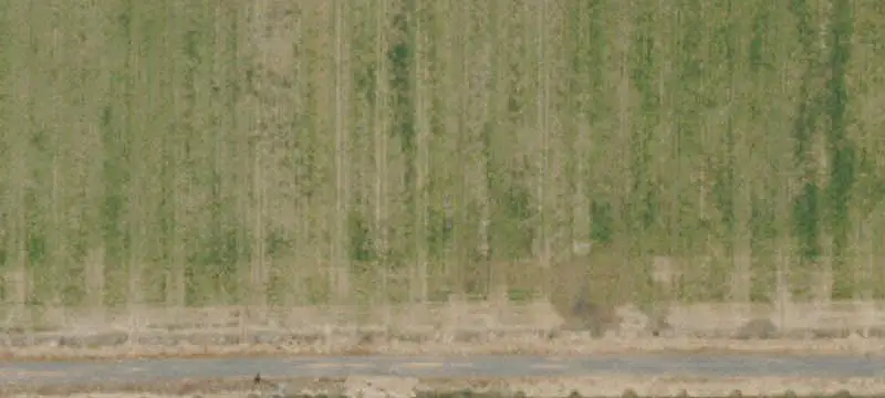 Row Crop Farmland