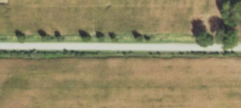 Hunting Land with Mature Timber