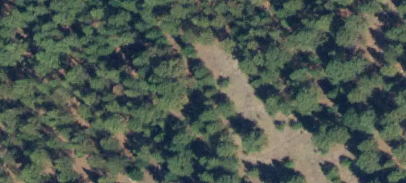Land