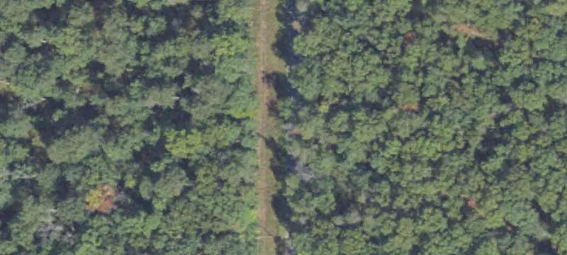 Forest Campground with 69 Sites