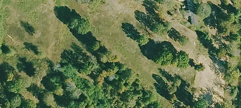 Wooded Land Tract