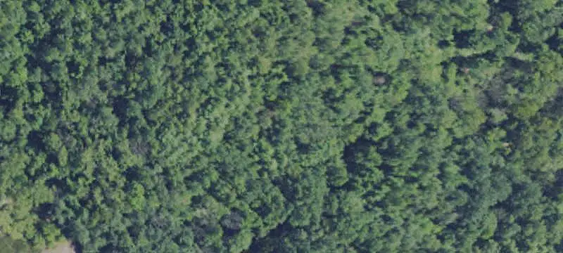 Land Lot