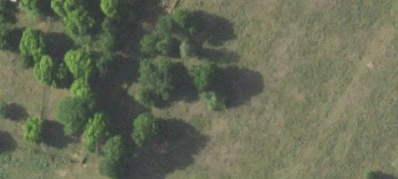 Fenced Farm with Country Home