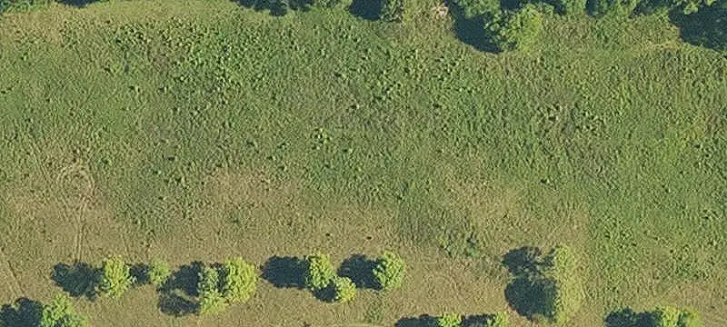 Pastureland with Road Frontage