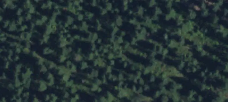 Land/Property