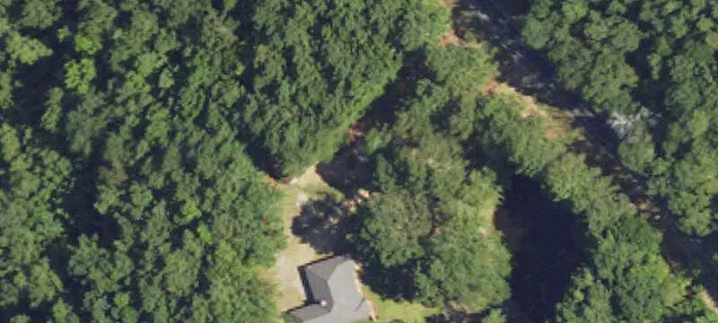 Wooded Hunting Land