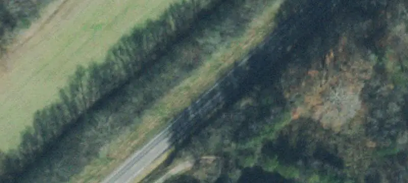 Recreational Farm with Timber