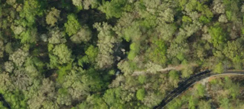 Vacant Land / Lots
