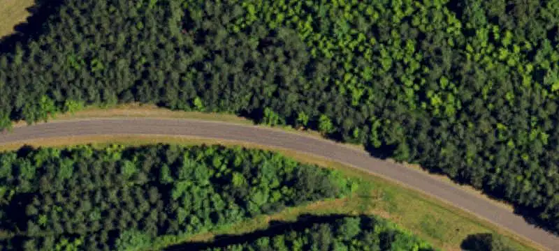 Wooded Land Parcel