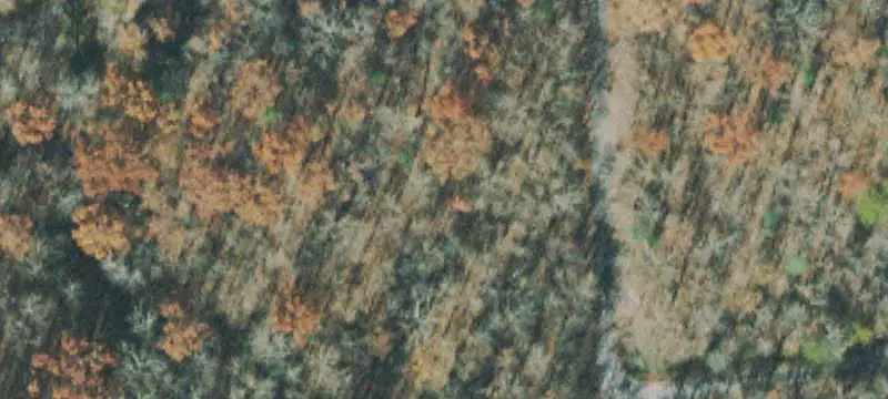 114 Hunterwood Lane, Crossville, TN 38558
