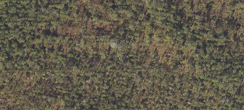 Land/Lot