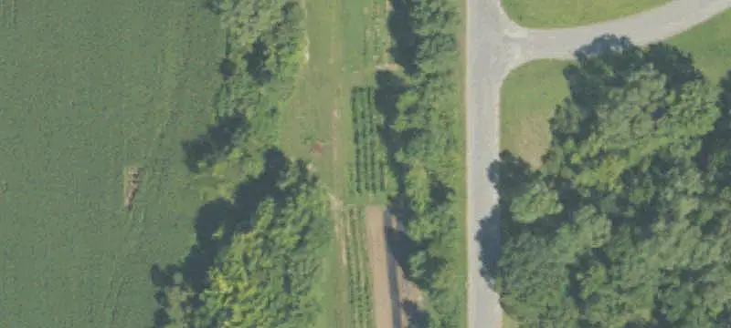 Lavender Farm with Farmhouse