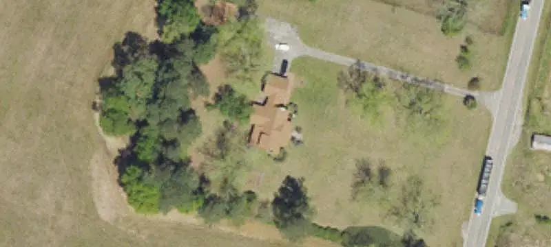 Planted Pine Hunting Land