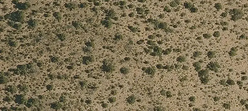 Vacant Land