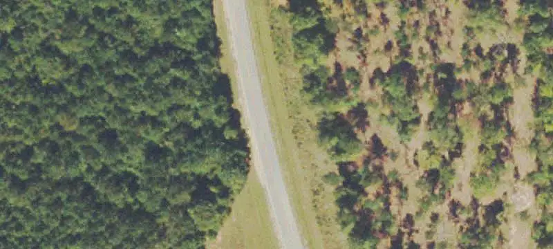 Timberland Hunting Tract