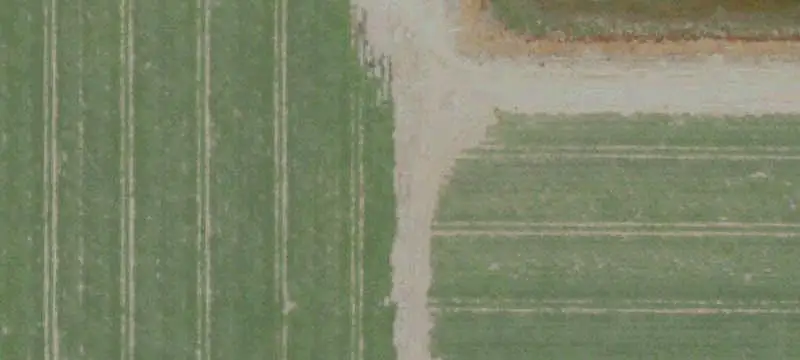 Orchard Farmland