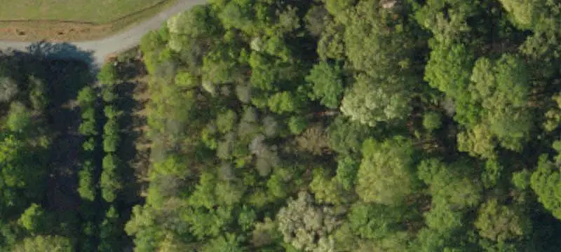 Lakefront Point Land with Dock Approval