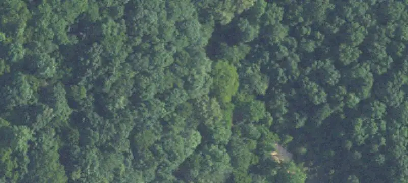 Flat Land Lot with Perc Test