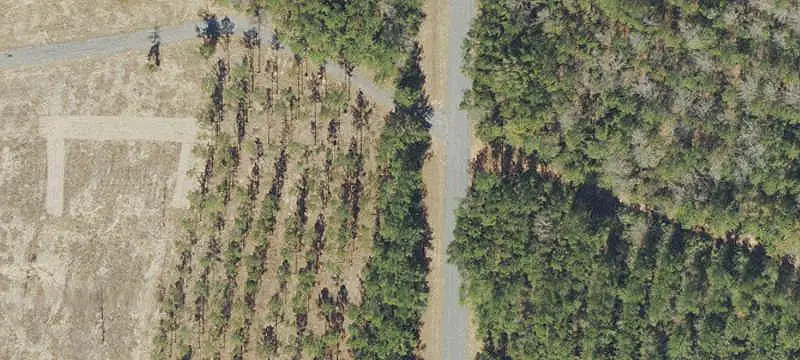 Land / Land/Acreage