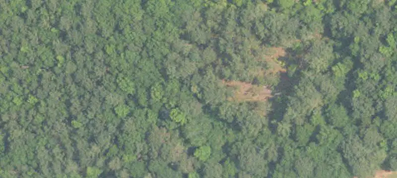 Commercial Land Parcel