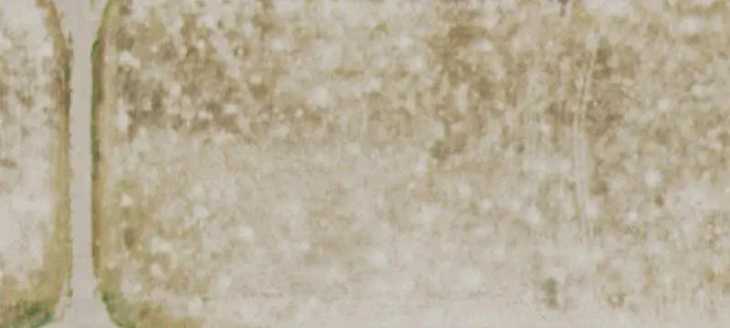 B-4 Commercial Land