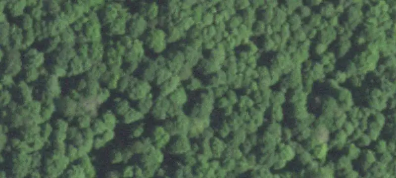Wooded Hunting Land with Access