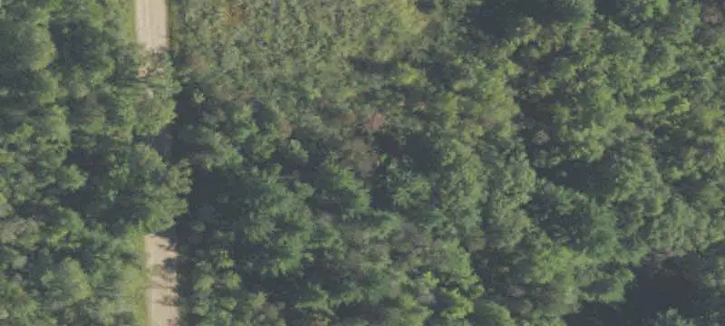 Wooded Hunting Land