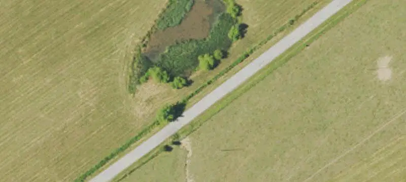Farm
