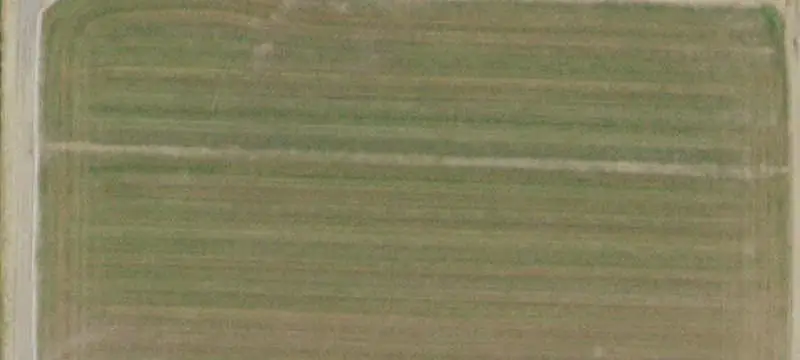 Irrigated Agricultural Farmland