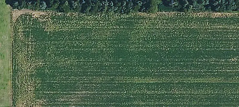 Tillable Farmland Tract