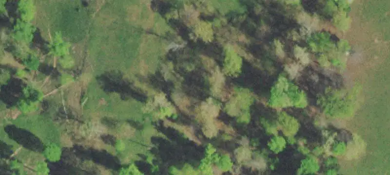 2938 Cedar Creek Road, La Follette, TN 37766