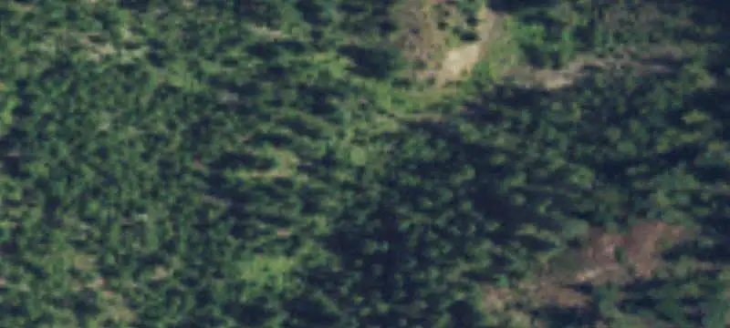 Forested Land with Seasonal Pond